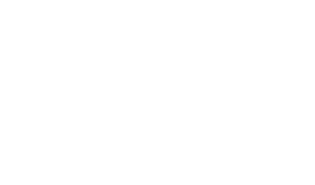 RIX Rooms — pensiune 4 stele